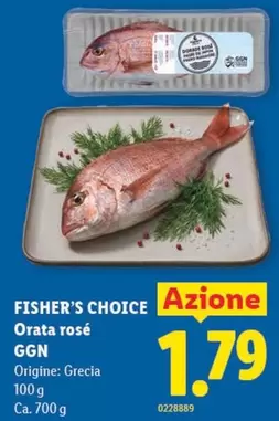 Orata ros
e GGN