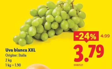 Uva bianca XXL