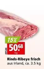Rinds-Ribeye frisch