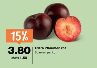 Extra Pflaumen rot