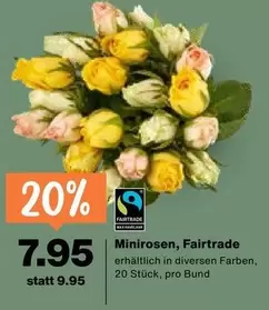 Minirosen