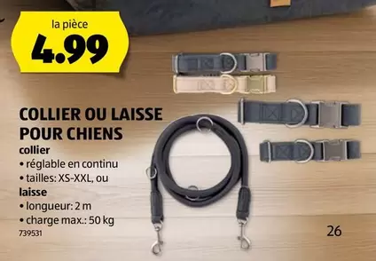 COLLIER OU LAISSE POUR CHIENS