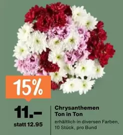 Chrysanthemen