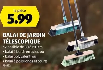 BALAI DE JARDIN TELESCOPIQUE