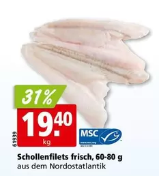 Schollenfilets frisch