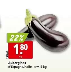 Aubergines