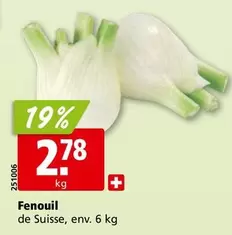 Fenouil