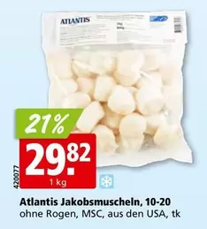 Atlantis Jakobsmuscheln, 10-20 ohne Rogen, MSC, aus den USA, tk