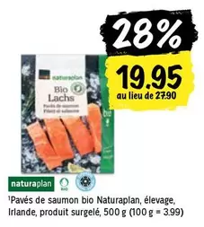 Pavés de saumon bio