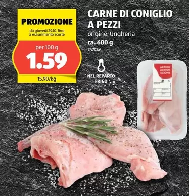 Action - CARNE DI CONIGLIO A PEZZI