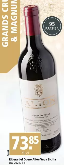 Magnum - Ribera del Duero Alión Vega Sicilia DO 2022