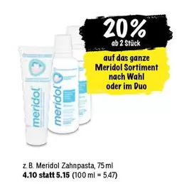 Wahl - Meridol Zahnpasta