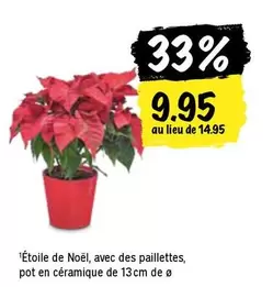 Étoile de Noël