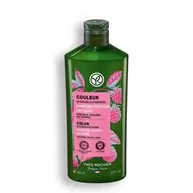 Color-Shampoo