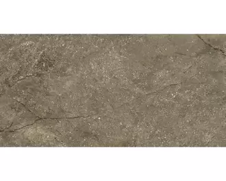 Feinsteinzeug Wand- und Bodenfliese Wells moka matt 30x60x0.95 cm