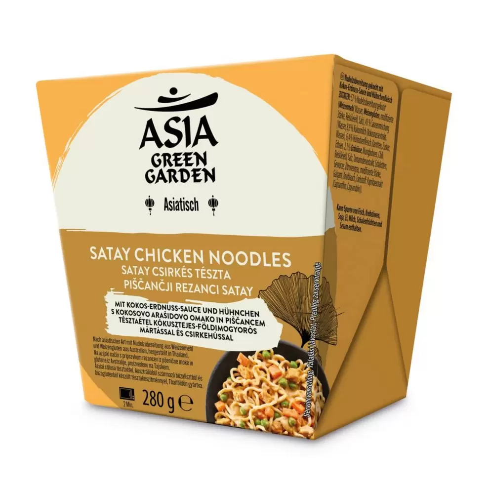ASIA GREEN GARDEN Asiatische Nudeln, Chicken Satay