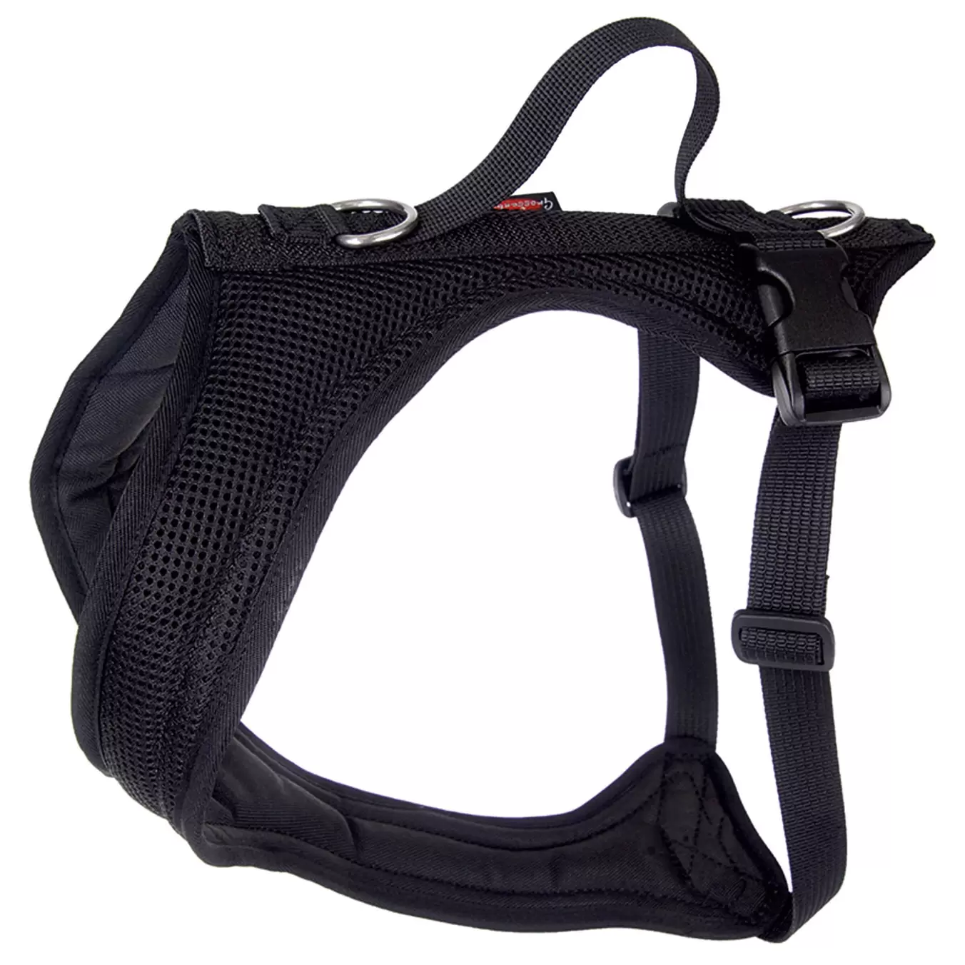 Brustgeschirr Dogs Fun Run standard