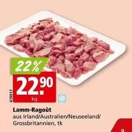 Lamm-Ragoût