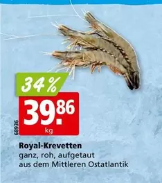 Royal-Krevette
