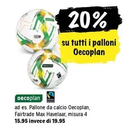 Pallone da calcio