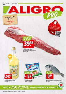 Aligro Katalog | Actions PRO #22 | 2026-05-25T00:00:00.000Z - 2026-05-30T00:00:00.000Z