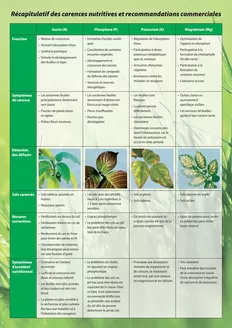 Landi Katalog in Pieterlen | Top-Ängbot für alli Schnäppchenjäger | 2026-09-03T00:00:00.000Z - 2026-09-17T00:00:00.000Z