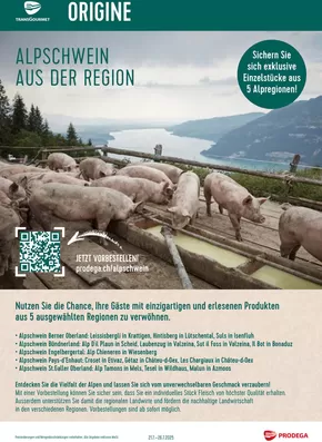 Prodega Katalog in Zürich | Groossi Uswahl a Ängbot | 2025-07-18T00:00:00.000Z - 2025-08-10T00:00:00.000Z