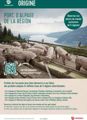 Prodega Katalog in Zürich | Rabatt und Aktione | 2025-07-17T00:00:00.000Z - 2025-08-15T00:00:00.000Z
