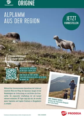 Prodega Katalog in Basel | Üsi beste Schnäppchen | 2025-08-07T00:00:00.000Z - 2025-08-28T00:00:00.000Z