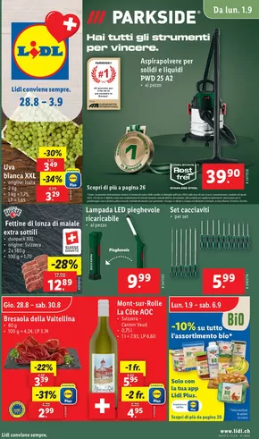 Lidl Katalog in Bern | Sonderängbot für Sie | 2025-08-28T00:00:00.000Z - 2025-09-03T00:00:00.000Z