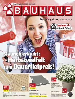 Bauhaus Katalog in Bern | BAUHAUS DE | 2025-08-25T00:00:00.000Z - 2025-09-28T00:00:00.000Z