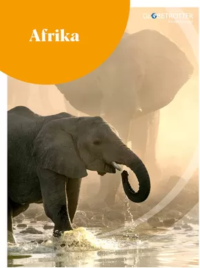 Globetrotter Katalog | Afrika - Reiseplaner Afrika | 2025-10-10T00:00:00.000Z - 2025-10-24T00:00:00.000Z