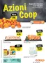 Coop Katalog | Neui Ängbot zum Entdecke | 2026-06-11T00:00:00.000Z - 2026-06-17T00:00:00.000Z