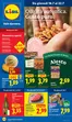 Lidl Katalog | 16.7 - 22.7 | 2026-07-16T00:00:00.000Z - 2026-07-22T00:00:00.000Z