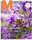 Migros Katalog in Bern | Migros reklamblad - DE Luzern | 2026-07-15T00:00:00.000Z - 2026-07-29T00:00:00.000Z