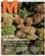 Migros Katalog in Lugano | Migros reklamblad - FR Basel | 2026-09-16T00:00:00.000Z - 2026-09-16T00:00:00.000Z