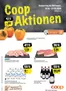 Coop City Katalog in Spreitenbach | Tolle Rabatt uf usgwählte Produkt | 2026-10-15T00:00:00.000Z - 2026-10-21T00:00:00.000Z