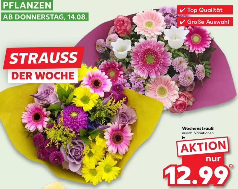 STRAUSS