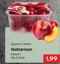 Nektarinen