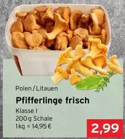 Pfifferlinge frisch