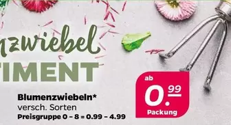 Blumenzwiebeln