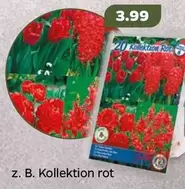Kollektion rot