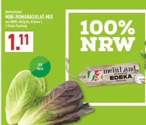 MINI-ROMANASALAT-MIX