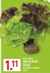 MULTICOLOR-SALAT