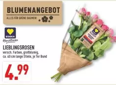 LIEBLINGSROSEN