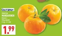 MANDARINEN