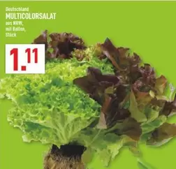 MULTICOLORSALAT