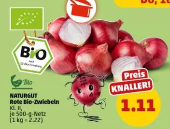 Bio - Rote -Zwiebeln