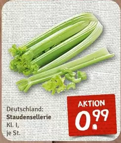 Staudensellerie