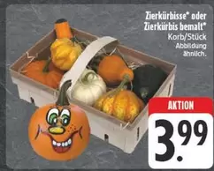 Zierkürbisse oder Zierkürbis bemalt